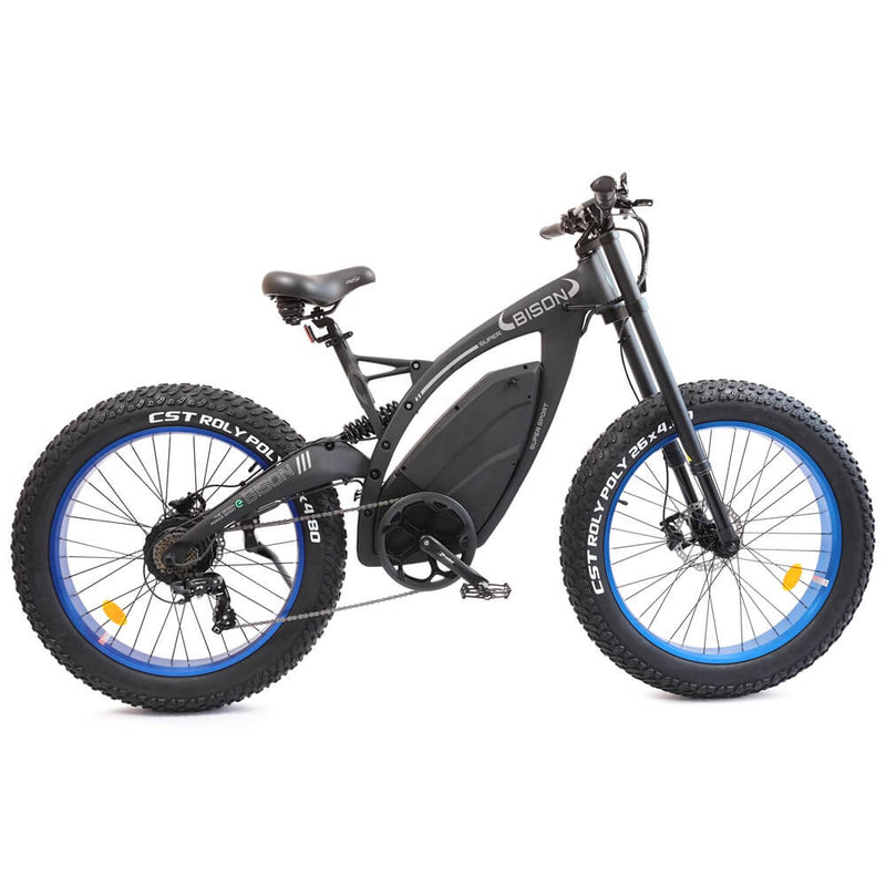 Ecotric big fat tire ebike Bison-1000 Watt, 48V