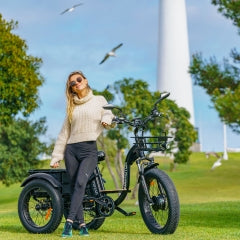 M-340 Electric Fat Trike 2023