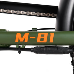 M-81 Electric Cargo Bike