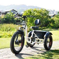 M-340 Electric Fat Trike 2023