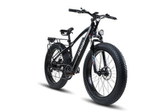 font black,moutain ebikes,fat tire ebike top ebike