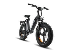 Ebike-Fat-Tire-Electric-Utility-Cargo-Bike-Step-Thru-with-Dual-Battery