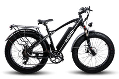 HAOQI® Black Leopard™ Fat Tire Electric Bike