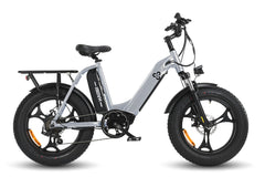 Ebike-Fat-Tire-Electric-Utility-Cargo-Bike-Step-Thru-with-Dual-Battery-moutain ebikes