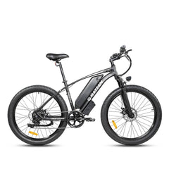 Rattan Compass 500W 48V/13Ah Fat Tire Electric Bike