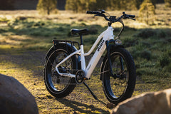 Pioneer Step-thru Fat Tire Electric Bike