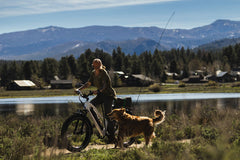 Pioneer Step-thru Fat Tire Electric Bike