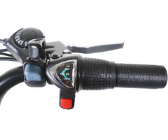 Throttle for Camel 250