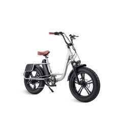 PRADO S COMMUTER EBIKE