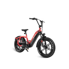 PONY STEP THRU EBIKE