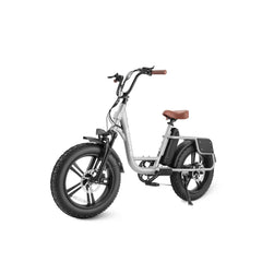 PRADO S COMMUTER EBIKE