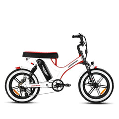 HEROTAN M-65X Cruiser Electric Bike