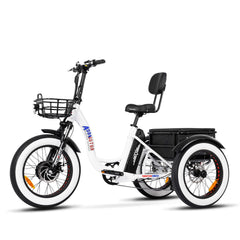 M-330 Electric Fat Trike 2023