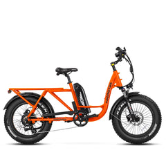 M-81 Electric Cargo Bike