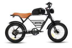 Rhino Electric Motorbike