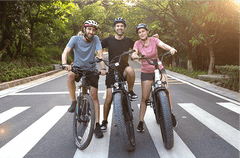 Magicycle Cruiser Pro Electric Mountain Bike