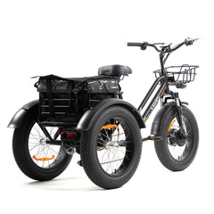 MG1703-FAT TIRE ELECTRIC TRICYCLE