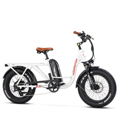 M-81 Electric Cargo Bike