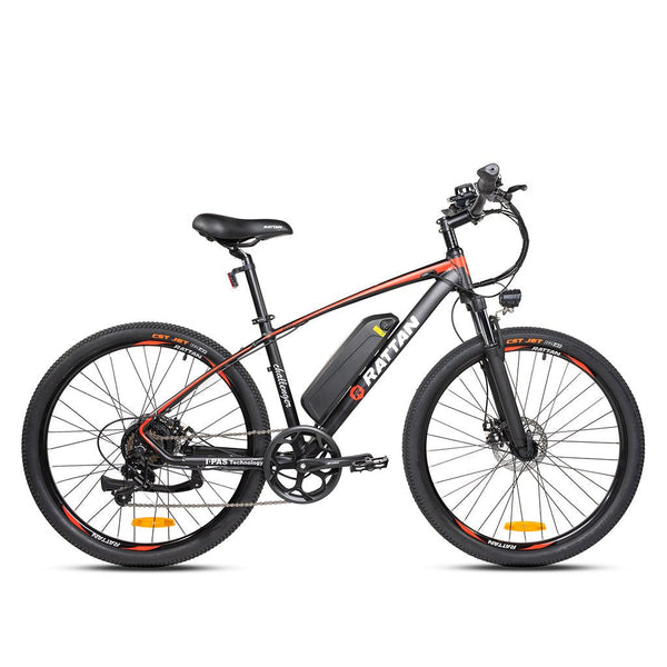 Rattan challenger hot sale plus ebike