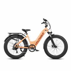 ROVER STEP THRU EBIKE - image09