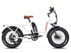 M-81 Electric Cargo Bike