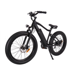 GlareWheel EB-PR PRO Fat Tire 750W Electric Mountain Bicycle