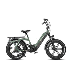 PONY STEP THRU EBIKE - image09