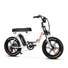 M-66 R7 Cruiser E-Bike