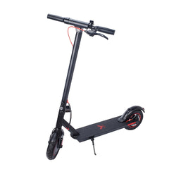 LAVA - 10 Inch 36V 500W Foldable Electric Scooter