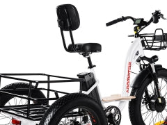 M-340 Electric Fat Trike 2023