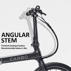 Copy of Customize your CARBO Bike