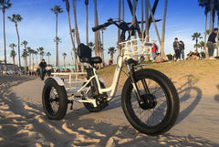 Electric Fat Tire Tricycle - 500 Watt, 48V