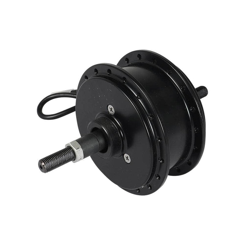 D11 250W Motor