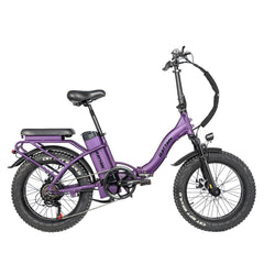 Rattan LF 750W 48V/13Ah Fat Tire Electric Bike