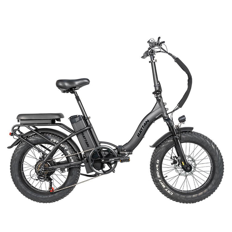 Rattan LF 750W 48V/13Ah Fat Tire Electric Bike