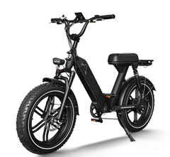 GlareWheel 750W Fat Tire Moped-Style Electric Bicycle EB-AG