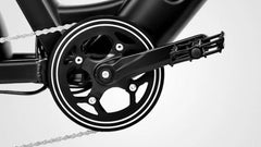 GlareWheel 750W Fat Tire Moped-Style Electric Bicycle EB-AG