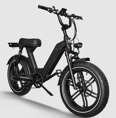 GlareWheel 750W Fat Tire Moped-Style Electric Bicycle EB-AG