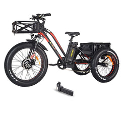 AddMotor 750W 2020 MOTAN M-350 P7 Fat Tires 750 Watt Motor Electric Tricycle