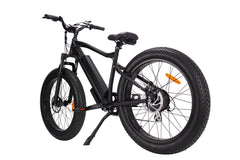 GlareWheel EB-PR PRO Fat Tire 750W Electric Mountain Bicycle