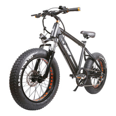 GlareWheel 20" Fat Tire Electric Bicycle EB-X7