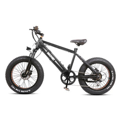 GlareWheel 20" Fat Tire Electric Bicycle EB-X7