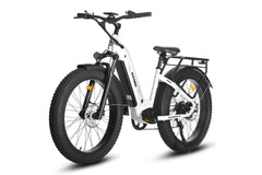 HAOQI® Eagle Long Range Electric Bicycle