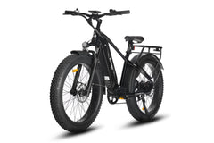 HAOQI® Eagle Long Range Electric Bicycle