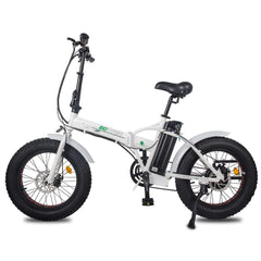 Ecotric 36V 12Ah 500W Fat Tire Portable and Folding Electric Bike