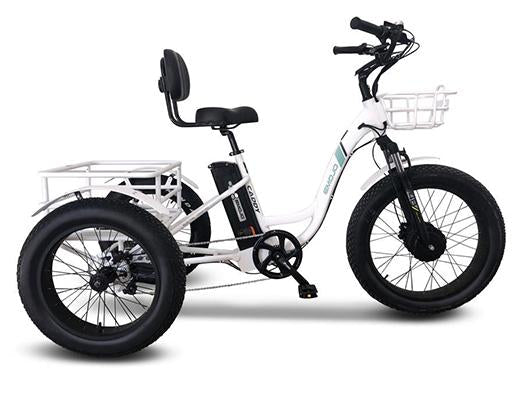 Electric Fat Tire Tricycle - 500 Watt, 48V