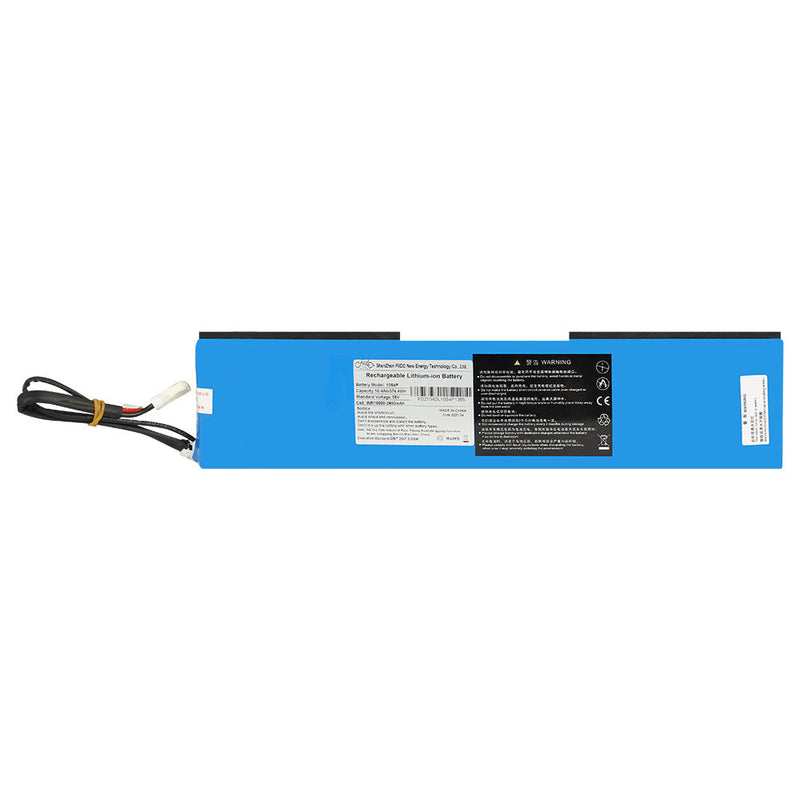 Fiido Battery for D1/D4S/Q1/Q1S