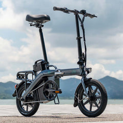 Fiido L3 Long Range Electric Bike