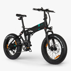 Fiido M21 Fat Tire Electric Bike with Torque Sensor