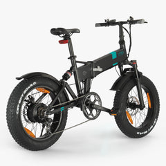 Fiido M21 Fat Tire Electric Bike with Torque Sensor